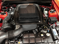 Image 12 of 12 of a 2003 FORD MUSTANG MACH ONE