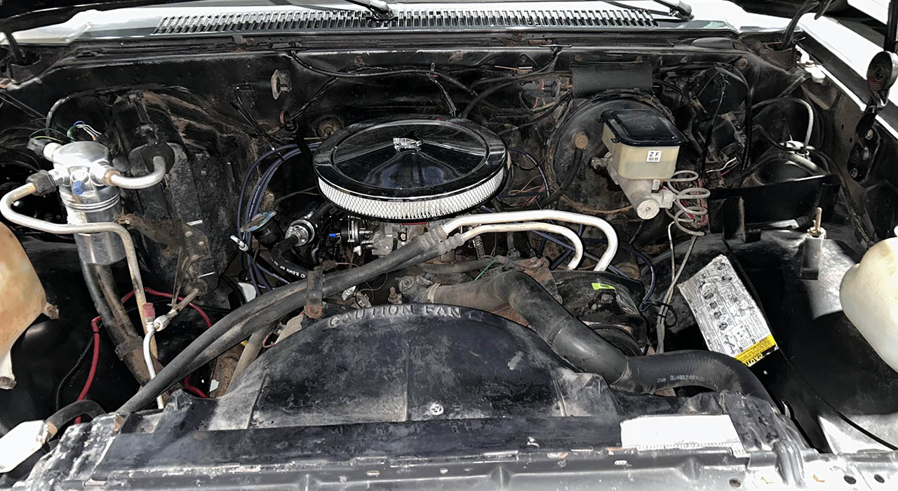 12th Image of a 1986 CHEVROLET C10