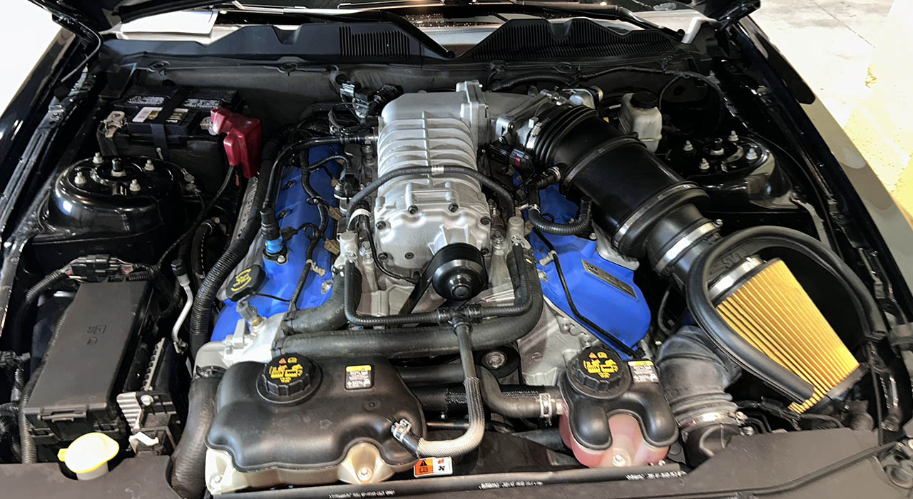 11th Image of a 2012 FORD MUSTANG SHELBY GT500