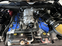 Image 12 of 12 of a 2012 FORD MUSTANG SHELBY GT500