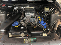 Image 13 of 13 of a 2005 FORD MUSTANG GT