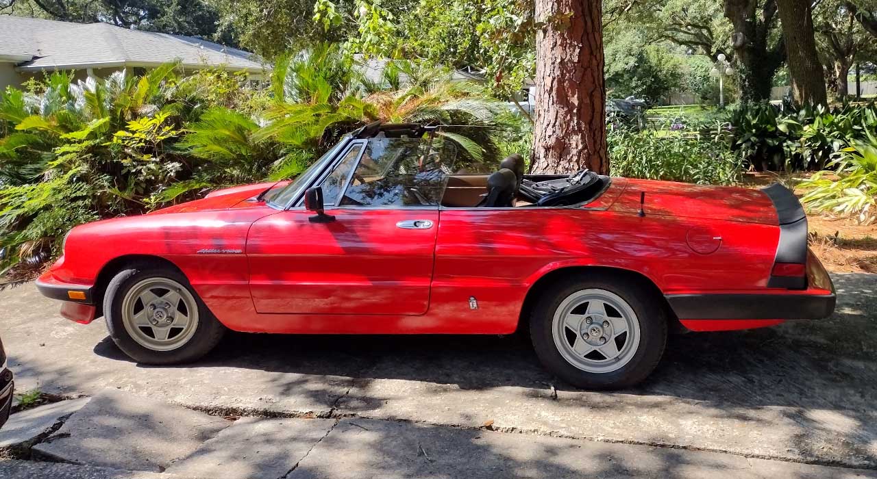 7th Image of a 1983 ALFA ROMEO SPIDER VELOCE