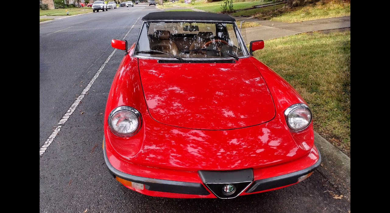 10th Image of a 1983 ALFA ROMEO SPIDER VELOCE