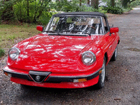 Image 2 of 24 of a 1983 ALFA ROMEO SPIDER VELOCE