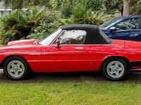 Image 7 of 24 of a 1983 ALFA ROMEO SPIDER VELOCE