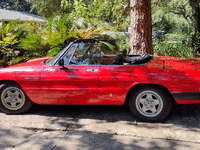 Image 8 of 24 of a 1983 ALFA ROMEO SPIDER VELOCE