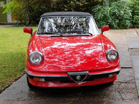 Image 10 of 24 of a 1983 ALFA ROMEO SPIDER VELOCE