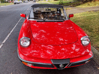 Image 11 of 24 of a 1983 ALFA ROMEO SPIDER VELOCE