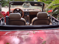 Image 13 of 24 of a 1983 ALFA ROMEO SPIDER VELOCE