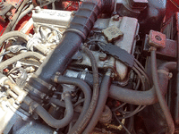 Image 20 of 24 of a 1983 ALFA ROMEO SPIDER VELOCE