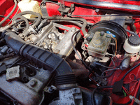 Image 21 of 24 of a 1983 ALFA ROMEO SPIDER VELOCE