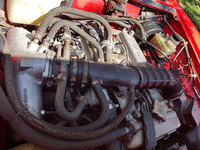 Image 22 of 24 of a 1983 ALFA ROMEO SPIDER VELOCE