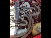 Image 24 of 24 of a 1983 ALFA ROMEO SPIDER VELOCE