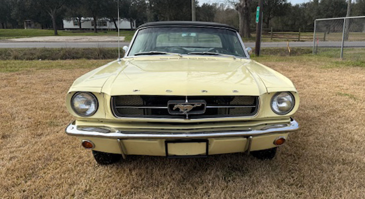 8th Image of a 1965 FORD MUSTANG