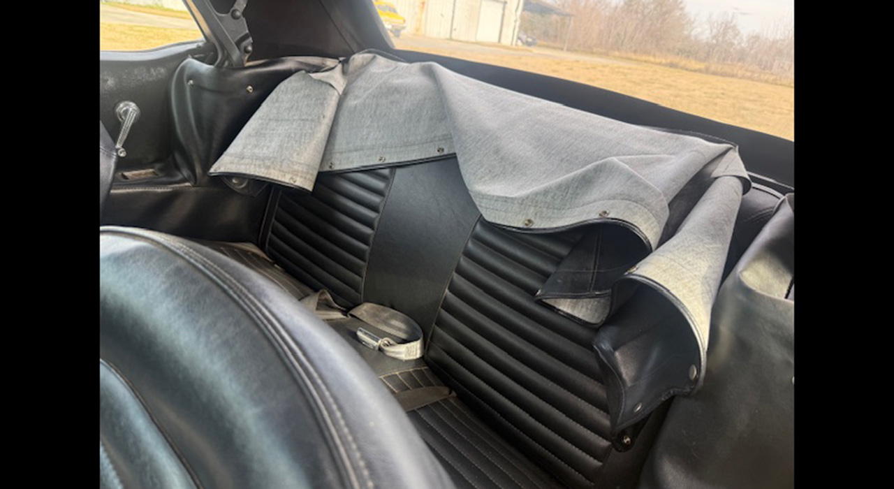 11th Image of a 1965 FORD MUSTANG