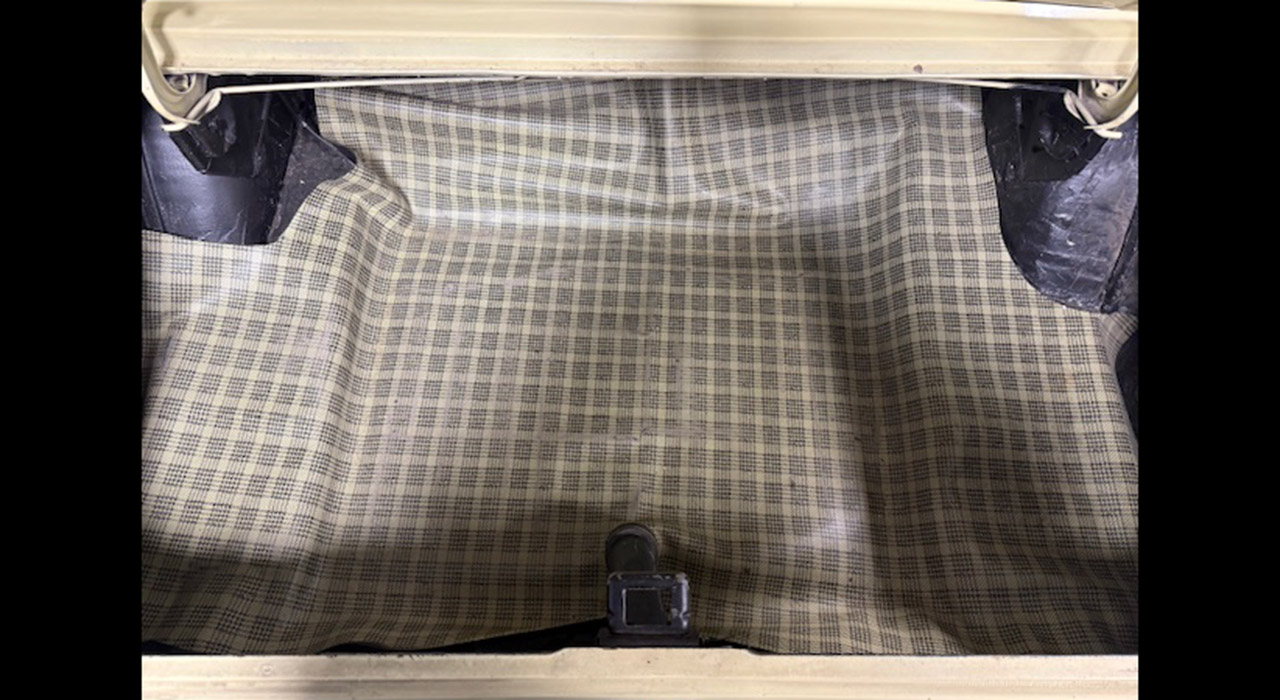 12th Image of a 1965 FORD MUSTANG