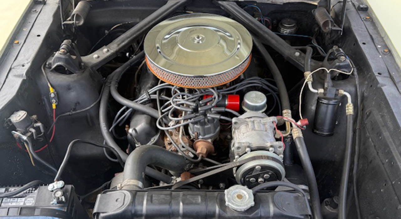 14th Image of a 1965 FORD MUSTANG